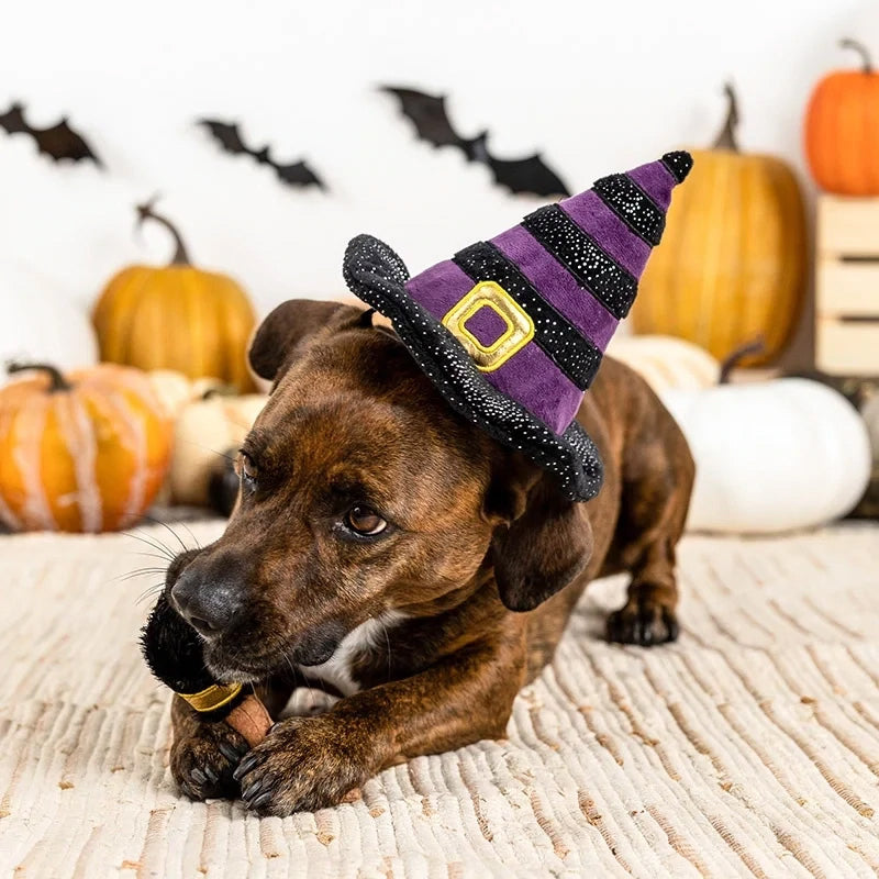 PetShop by Fringe Studio If The Broom Fits 2Pc Wear & Play
