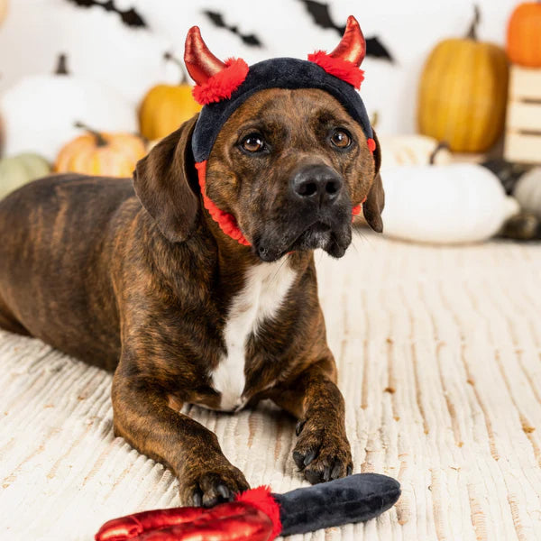 PetShop by Fringe Studio Cute Lil Devil 2Pc Wear & Play
