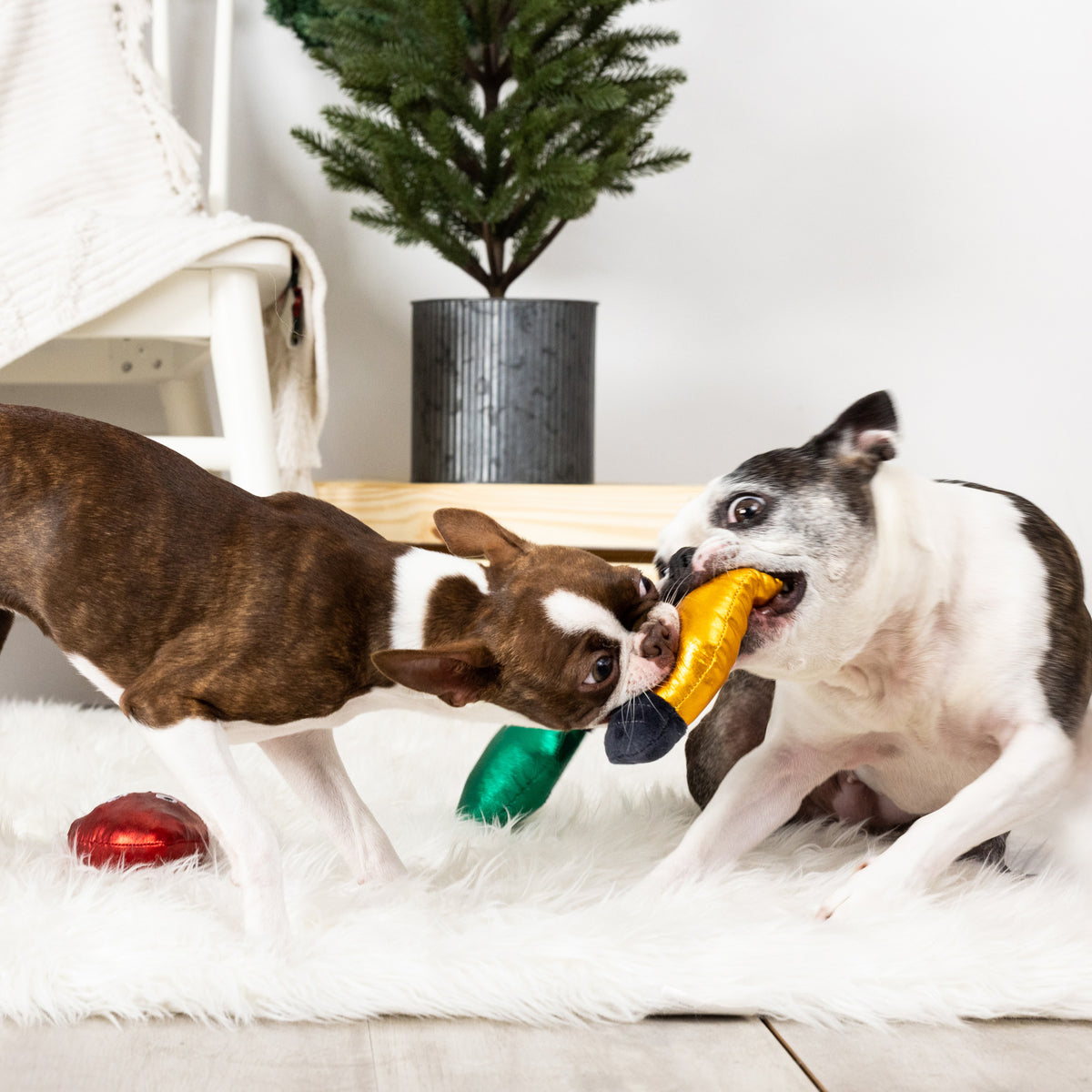 PetShop by Fringe Studio Light Up My Life Short Dog Toy Set Small 3pc