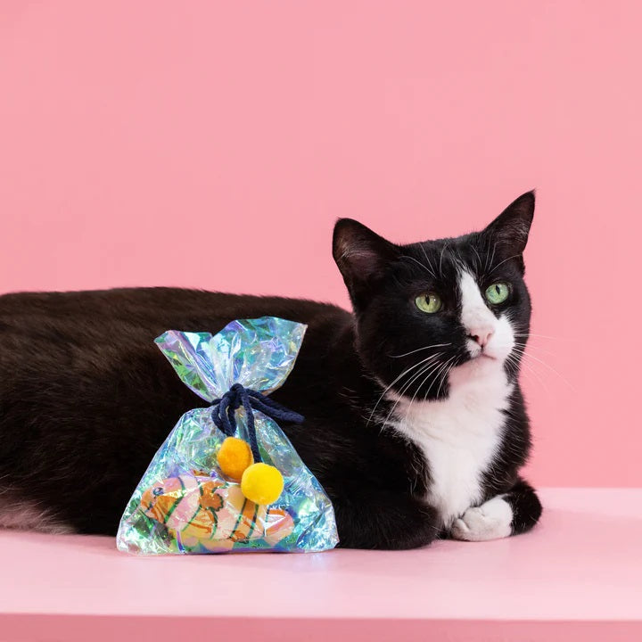 PetShop by Fringe Studio Clownin' Around Kicker Cat Toy
