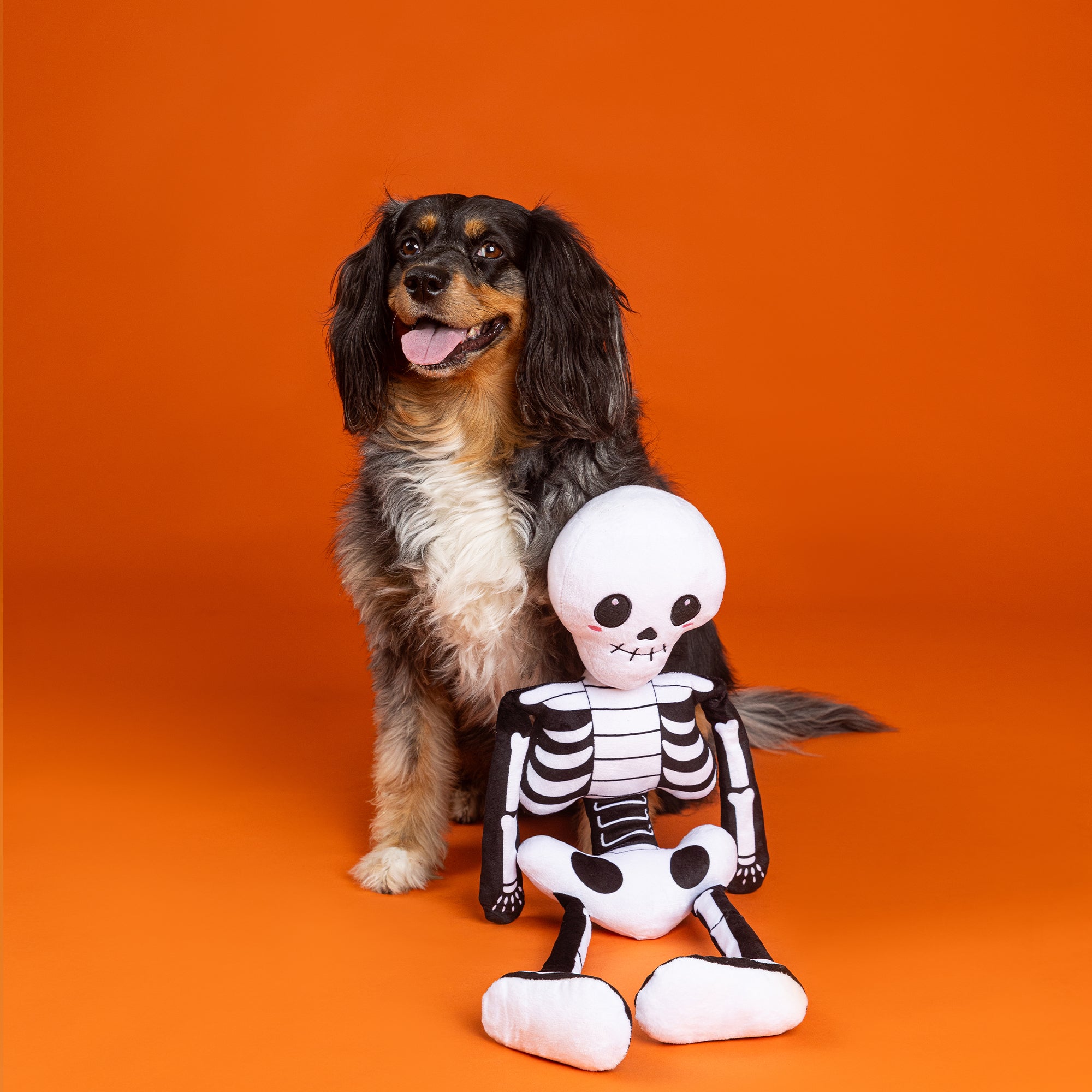PetShop by Fringe Studio Bone To Be Wild Large Plsh Dog Toy
