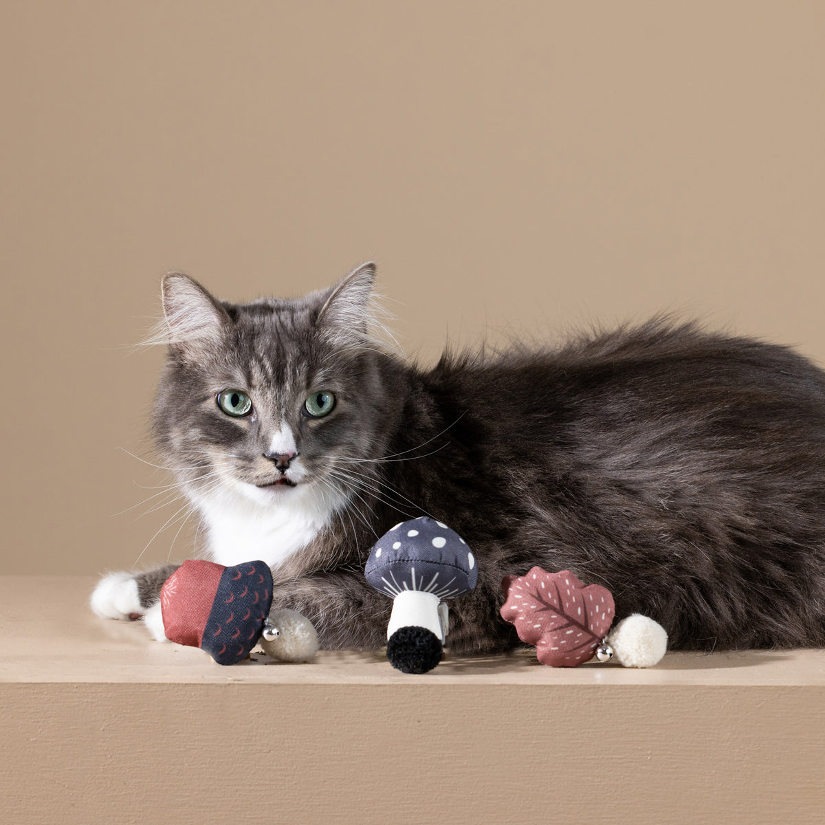 PetShop by Fringe Studio Forest Finds Cat Toy Set 3pc