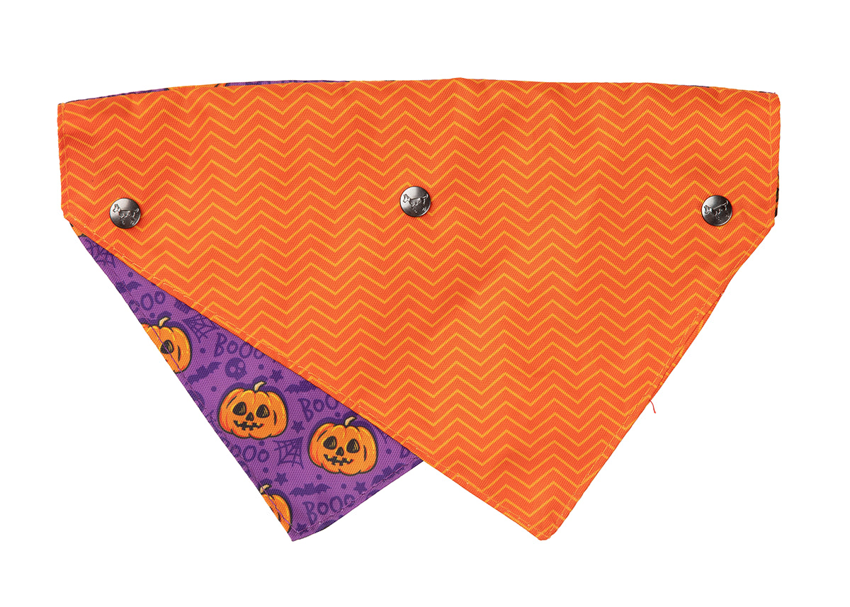 FuzzYard Bandana Jack Jack Jackie Lantern Purple S/M