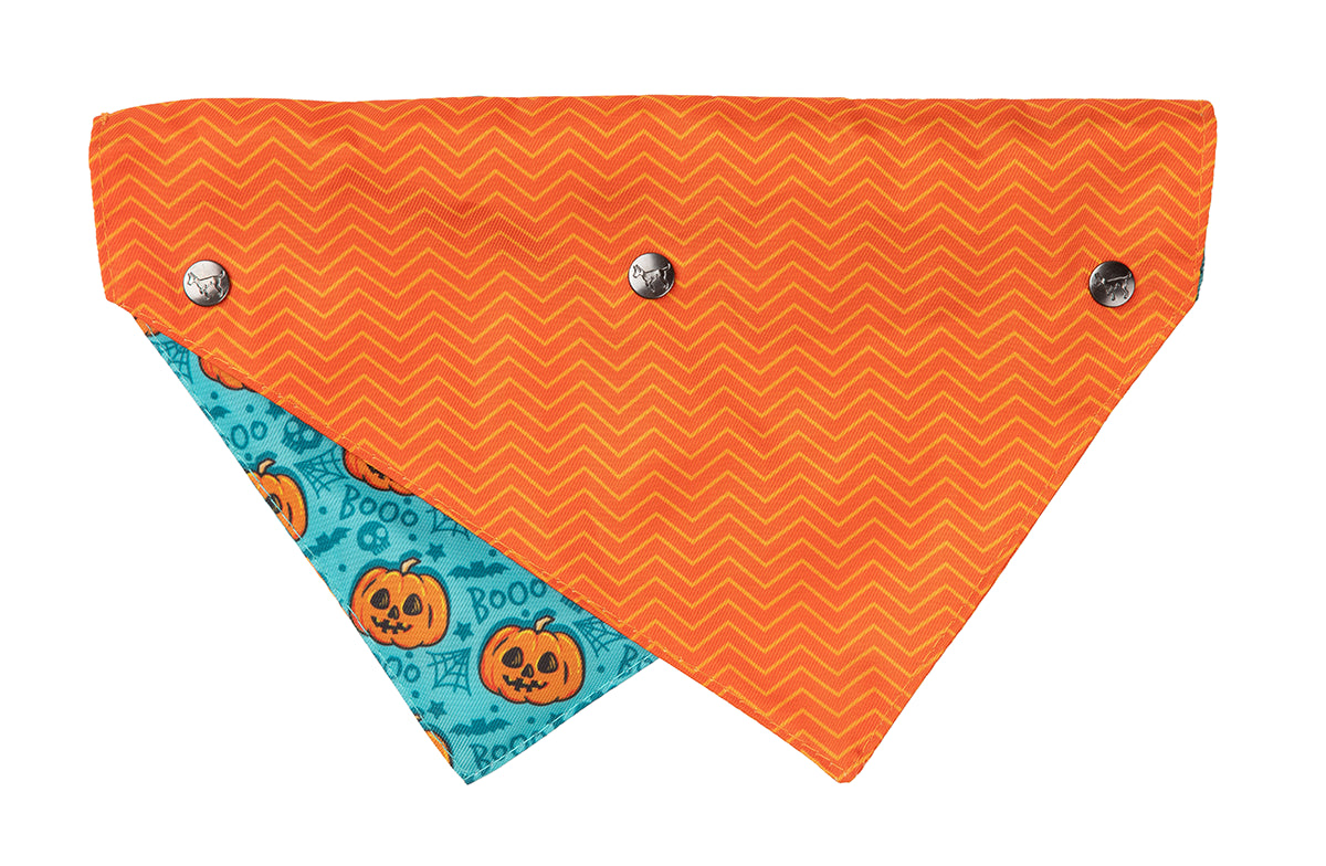 FuzzYard Bandana Jack Jack Jackie Lantern  Teal M/L