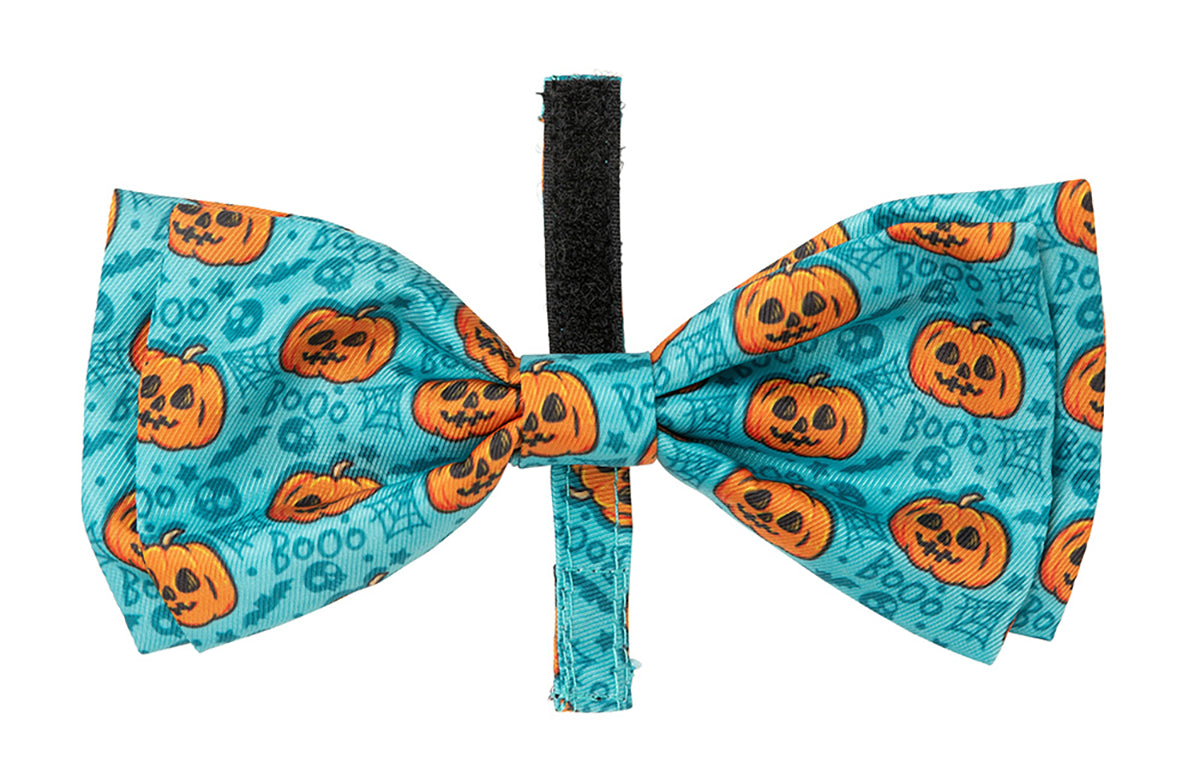 FuzzYard Bowtie  Jack Jack Jackie Lantern  Teal L