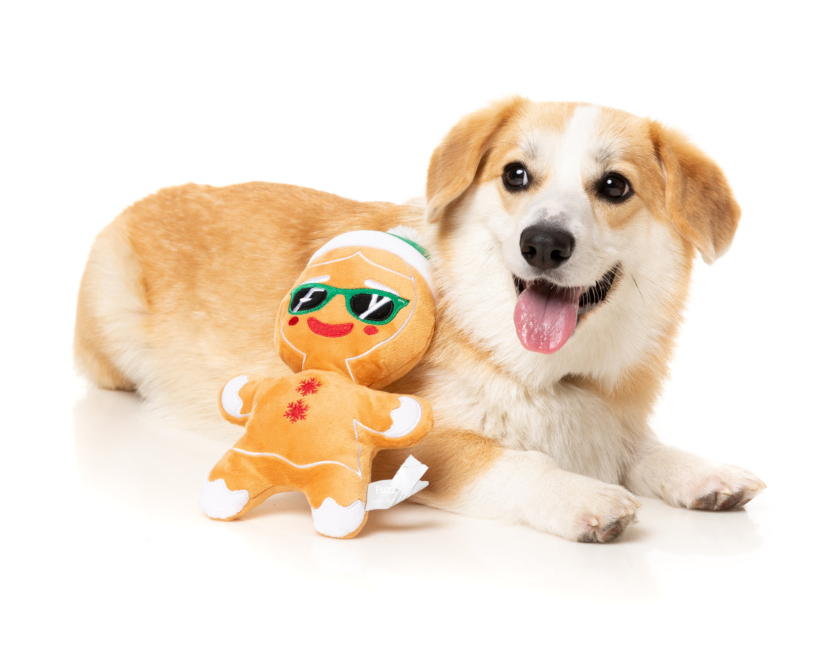 FuzzYard Dog Toy Jolly Gingergal L