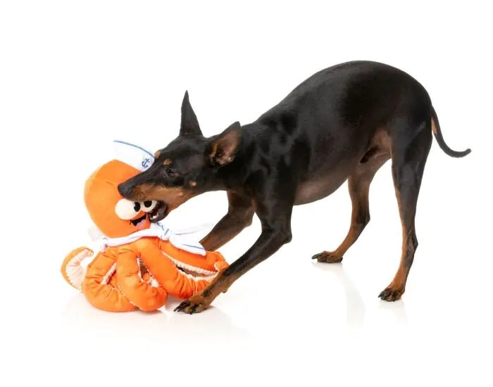 FuzzYard Sailor Squiggles