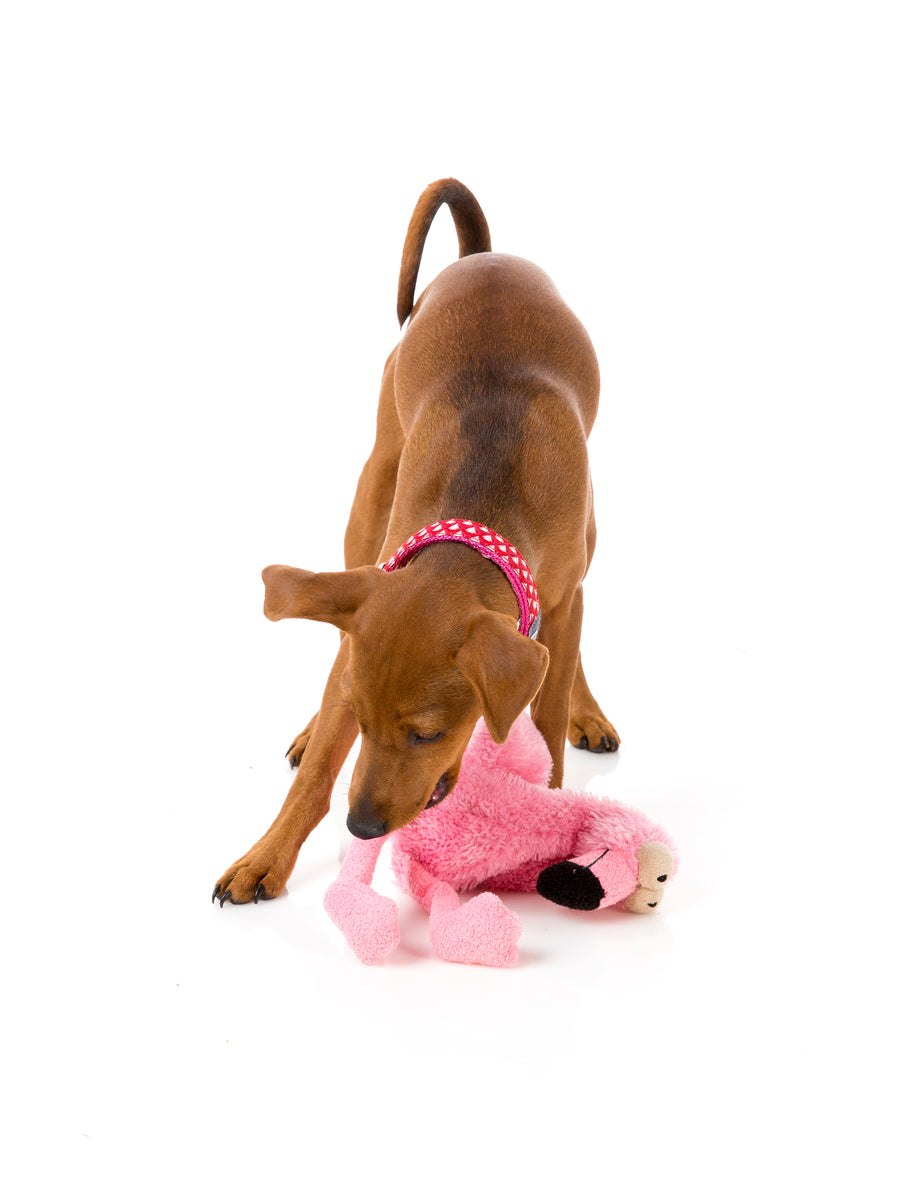 FuzzYard Dog Toy Neighborhood Nasties Flo the Flamingo Large