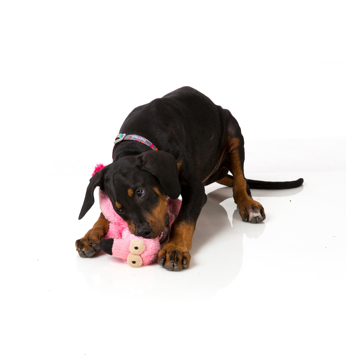 FuzzYard Dog Toy Neighborhood Nasties Little Flo the Flamingo Small