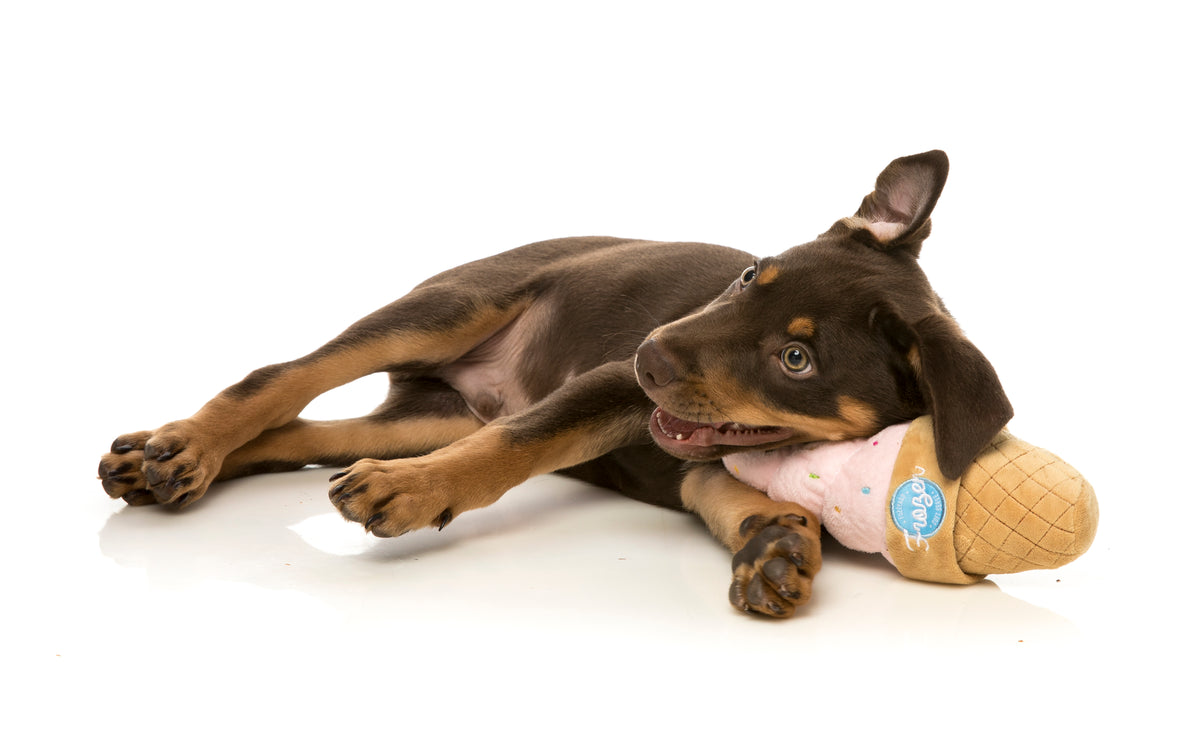 FuzzYard Dog Toy Ice Cream