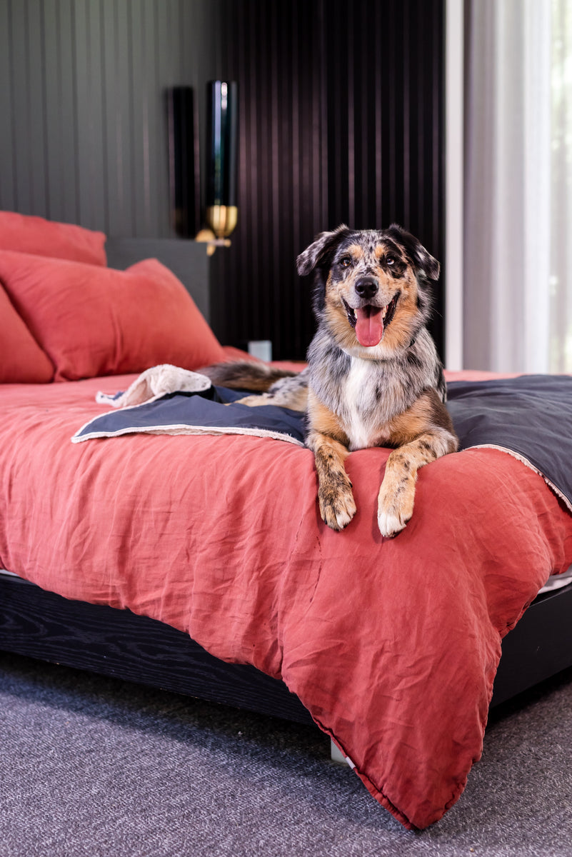 FuzzYard Life Pet Blanket - Slate Grey L