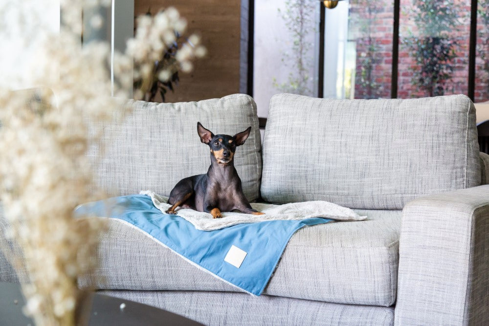 FuzzYard Life Pet Blanket - French Blue S