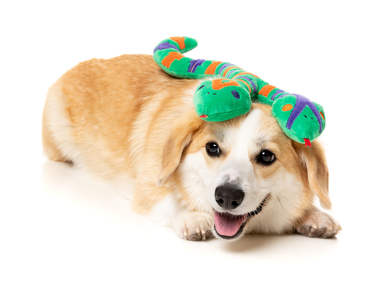 FuzzYard Dog Toy Hissy Elliot S