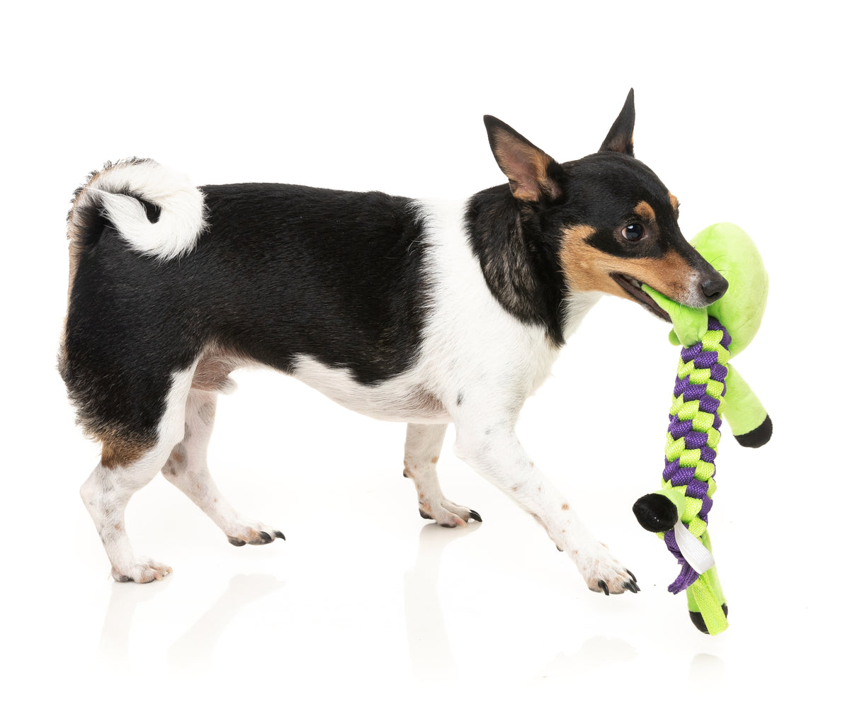 FuzzYard Dog Toy Bone Affleck