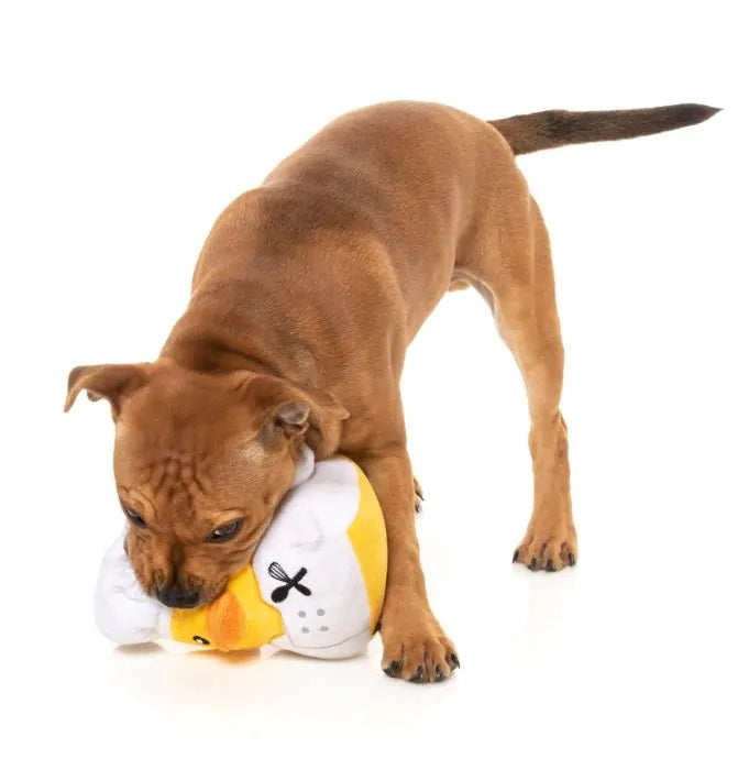 FuzzYard Gordon Quacksay Plush Dog Toy
