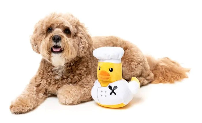 FuzzYard Gordon Quacksay Plush Dog Toy