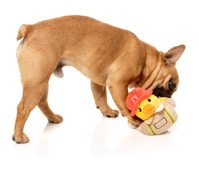 FuzzYard Firequacker Plush Dog Toy
