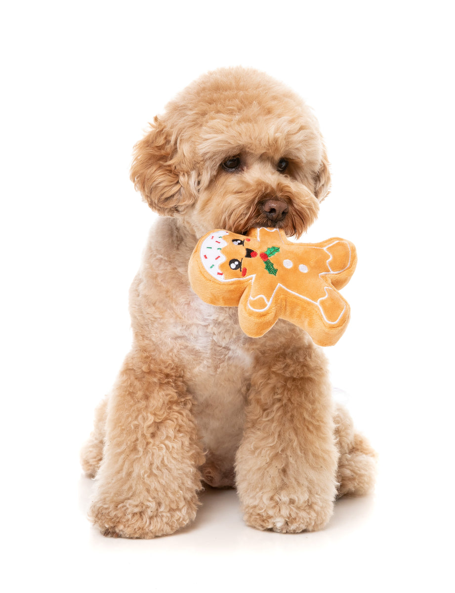 FuzzYard Fred The Gingerbread S Plush Dog Toy
