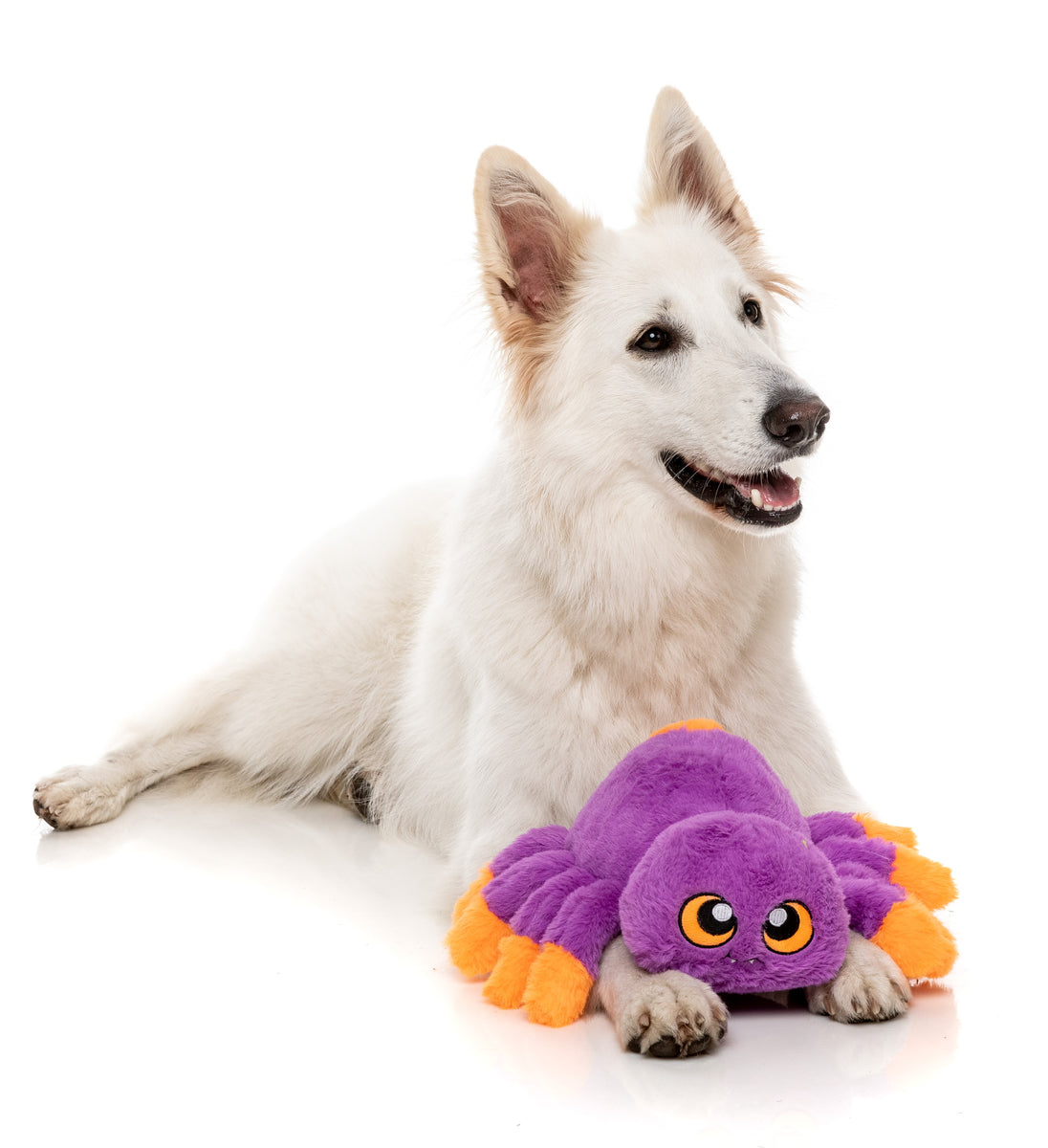 FuzzYard Weborah The Spider Plush Dog Toy Purple L