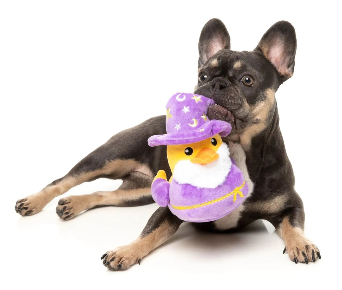 FuzzYard Sirius Quack Plush Dog Toy Large