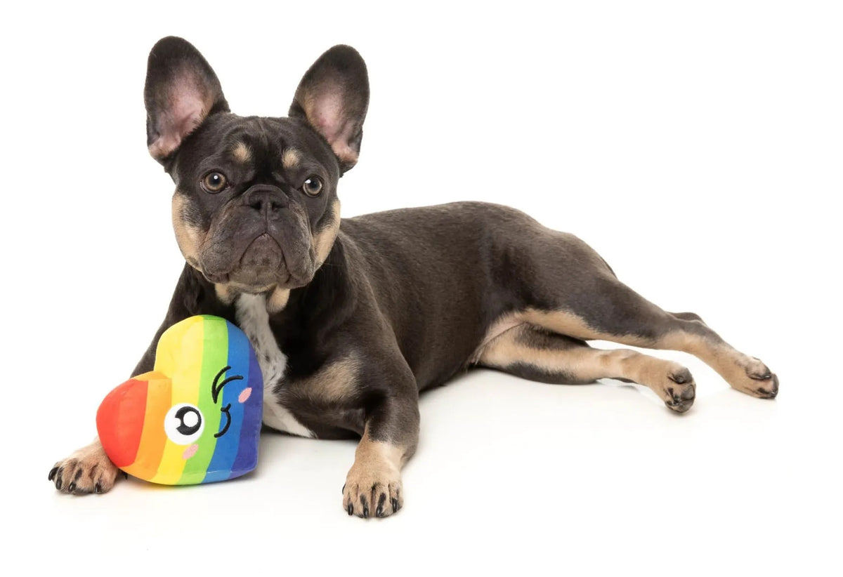 FuzzYard Can't Think Straight Plush Dog Toy