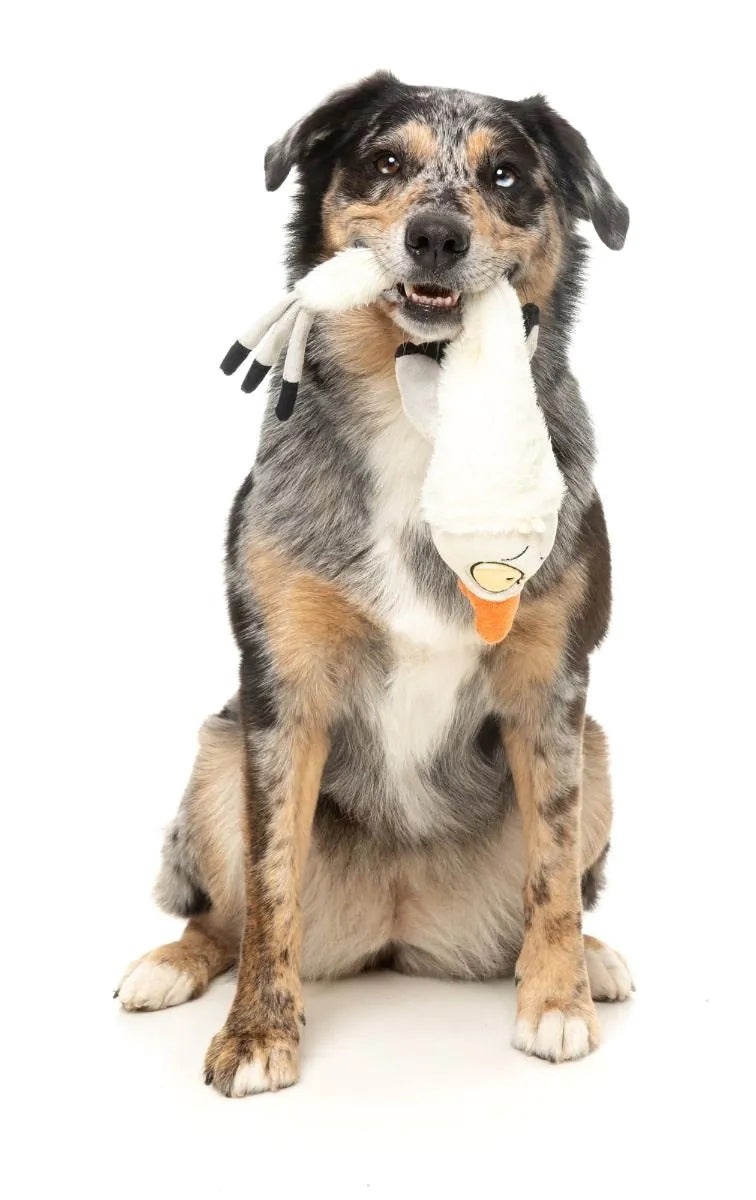 FuzzYard SeeYa Seagull Plush Dog Toy
