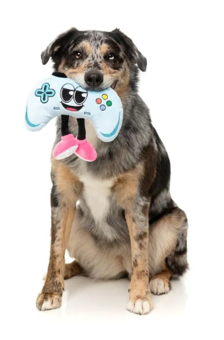 FuzzYard Gamezy Plush Dog Toy