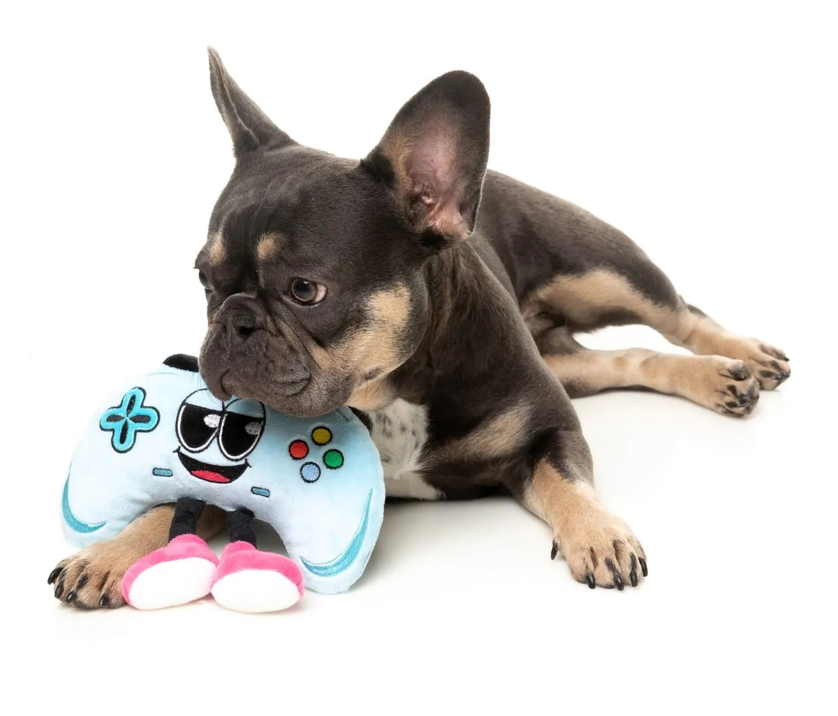 FuzzYard Gamezy Plush Dog Toy