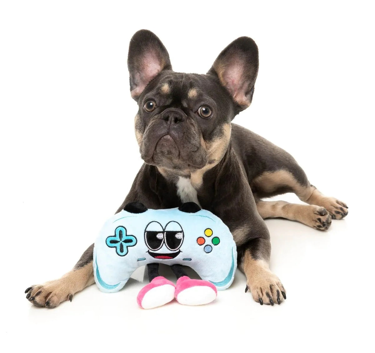 FuzzYard Gamezy Plush Dog Toy
