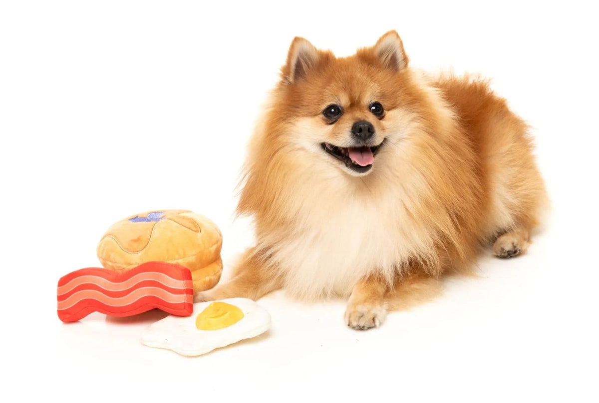 FuzzYard Dog's Breakfast Plush Dog Toy 3pk