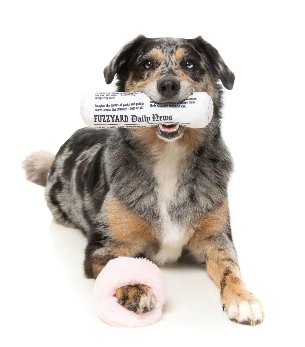 FuzzYard Fetch My Slippers & Paper Plush Dog Toy 2pk
