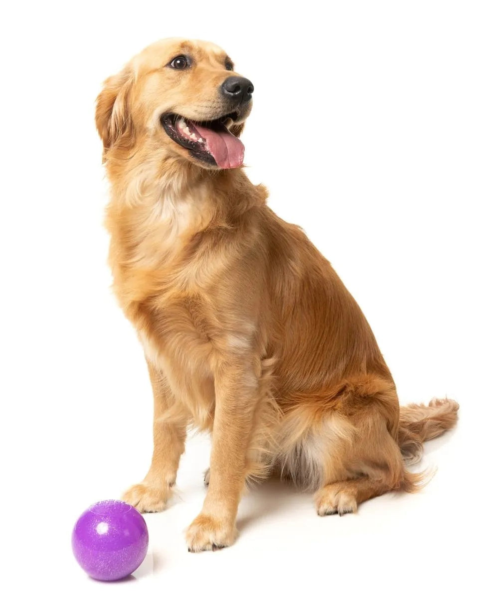 FuzzYard Truth Tellin' Treat Ball Dog Chew Toy
