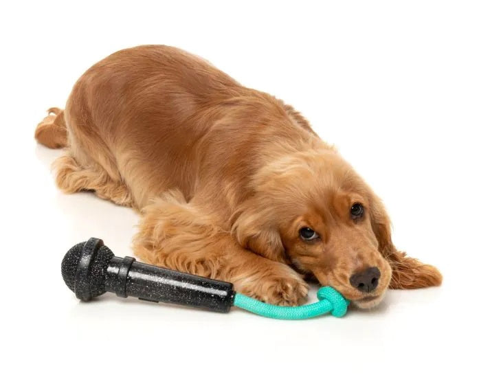FuzzYard Mic Drop Dog Chew Toy