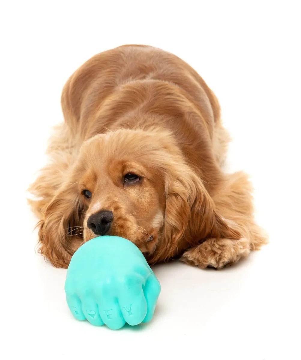 FuzzYard Knuckle Sandwich Dog Chew Toy