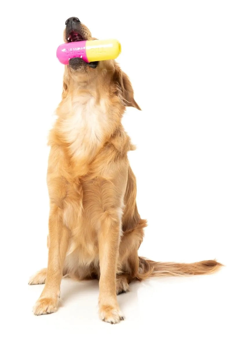 FuzzYard Chill Pill Dog Chew Toy