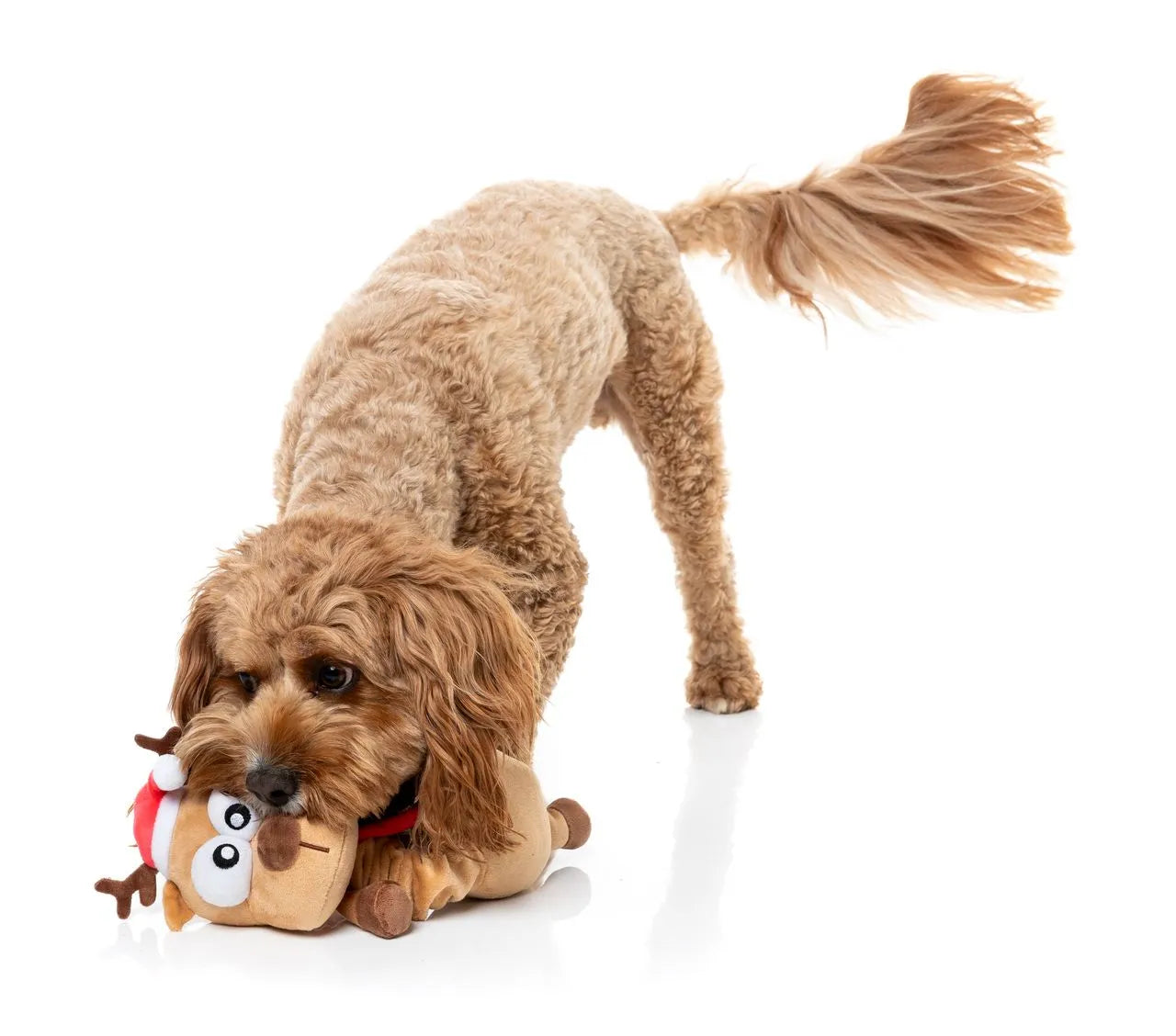 FuzzYard Holiday Domineck The Reindeer Plush Dog Toy