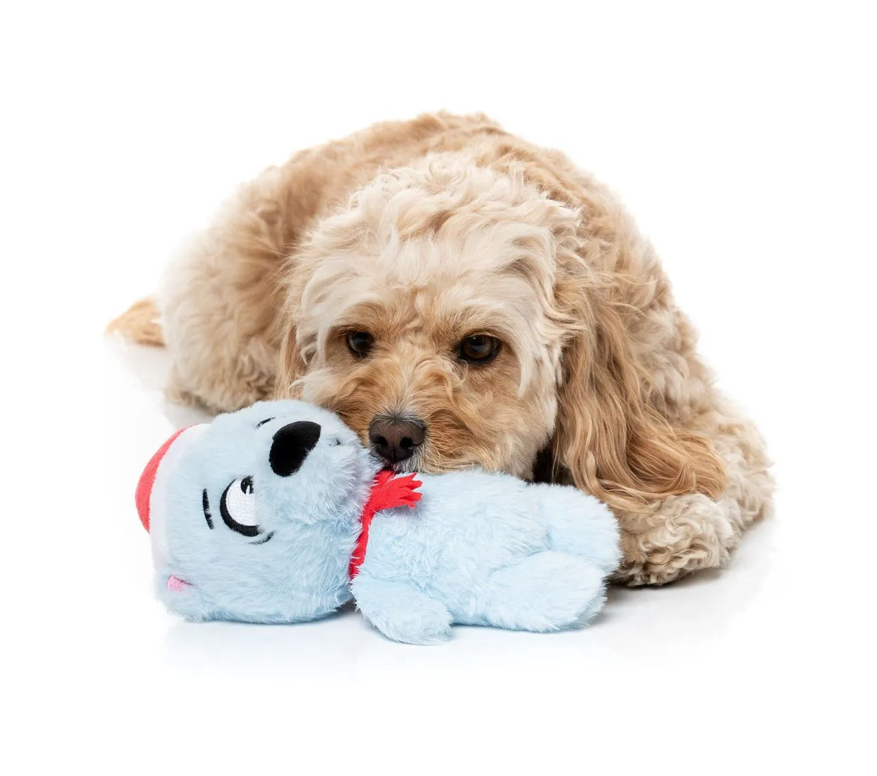FuzzYard Holiday Brrr-Uce The Polar Bear Plush Dog Toy