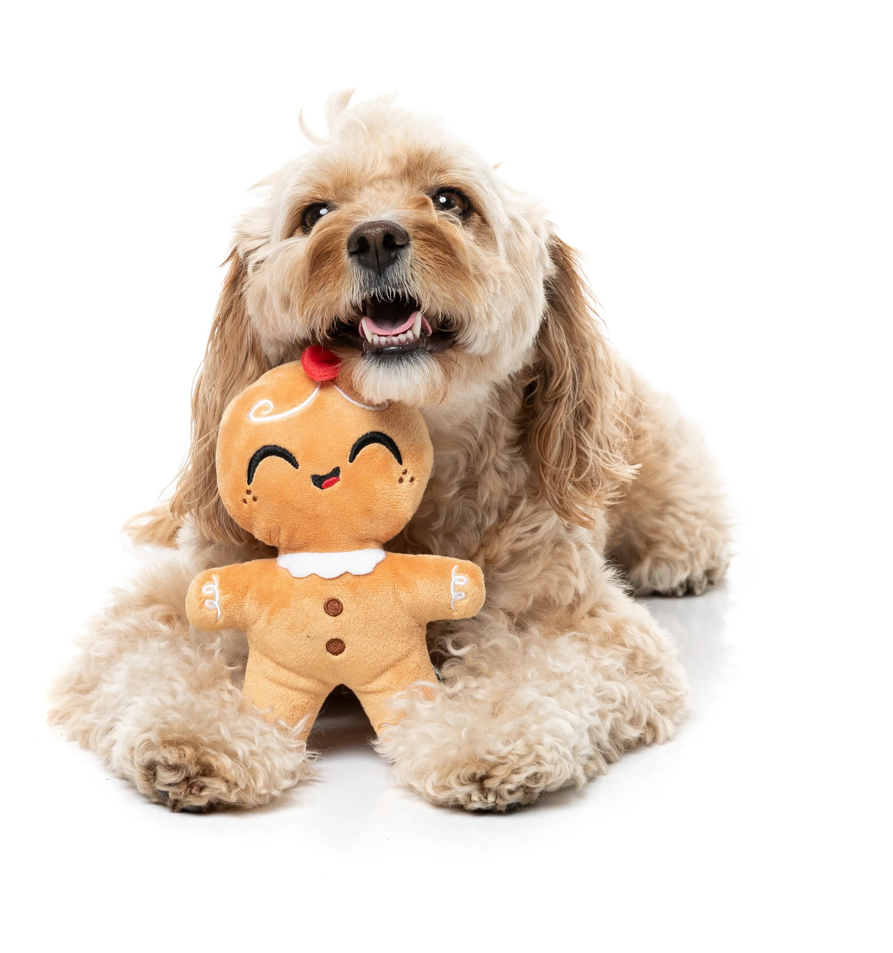 FuzzYard Holiday Doughlila S Plush Dog Toy