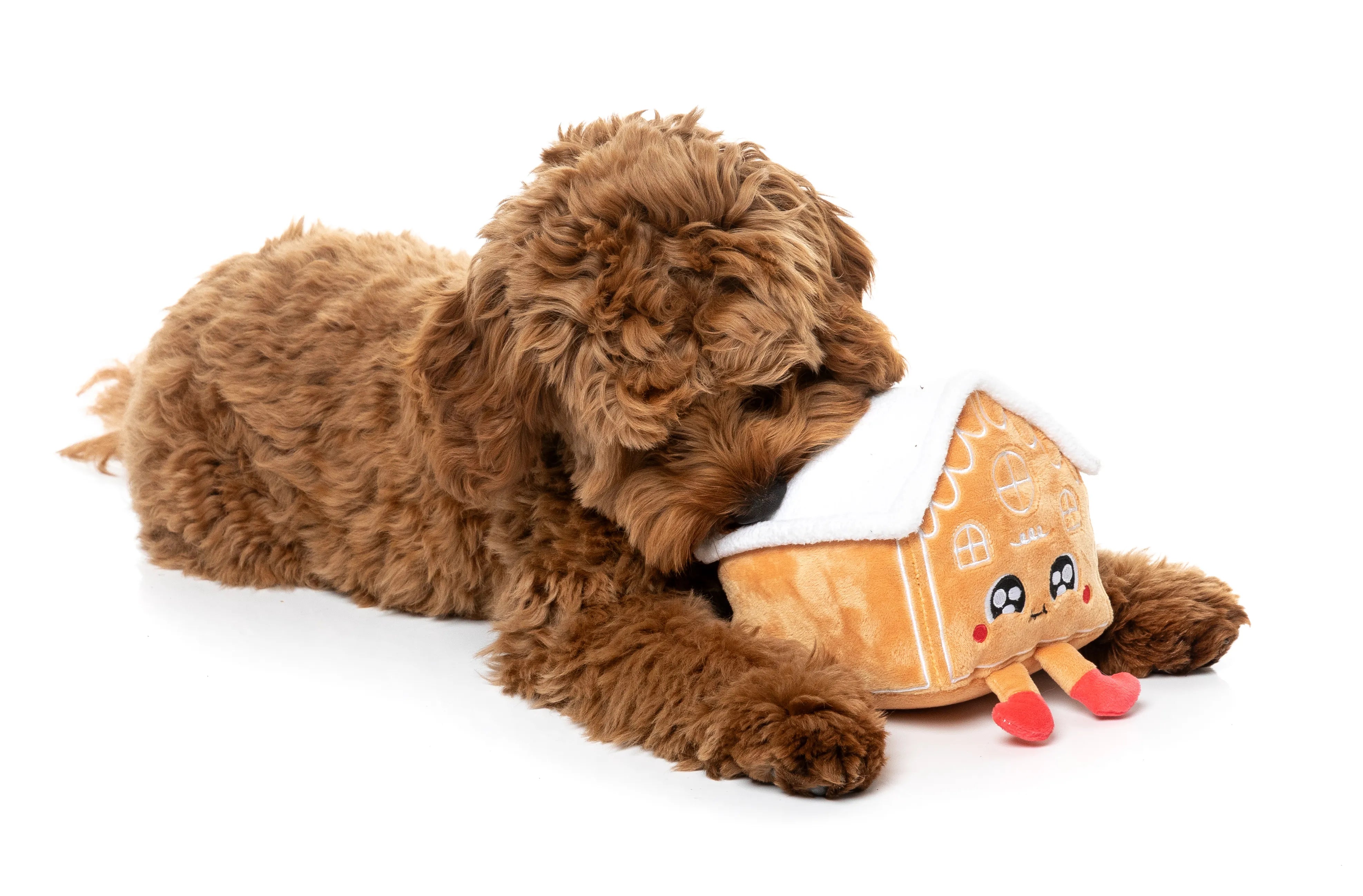 FuzzYard Holiday Holly House Plush Dog Toy