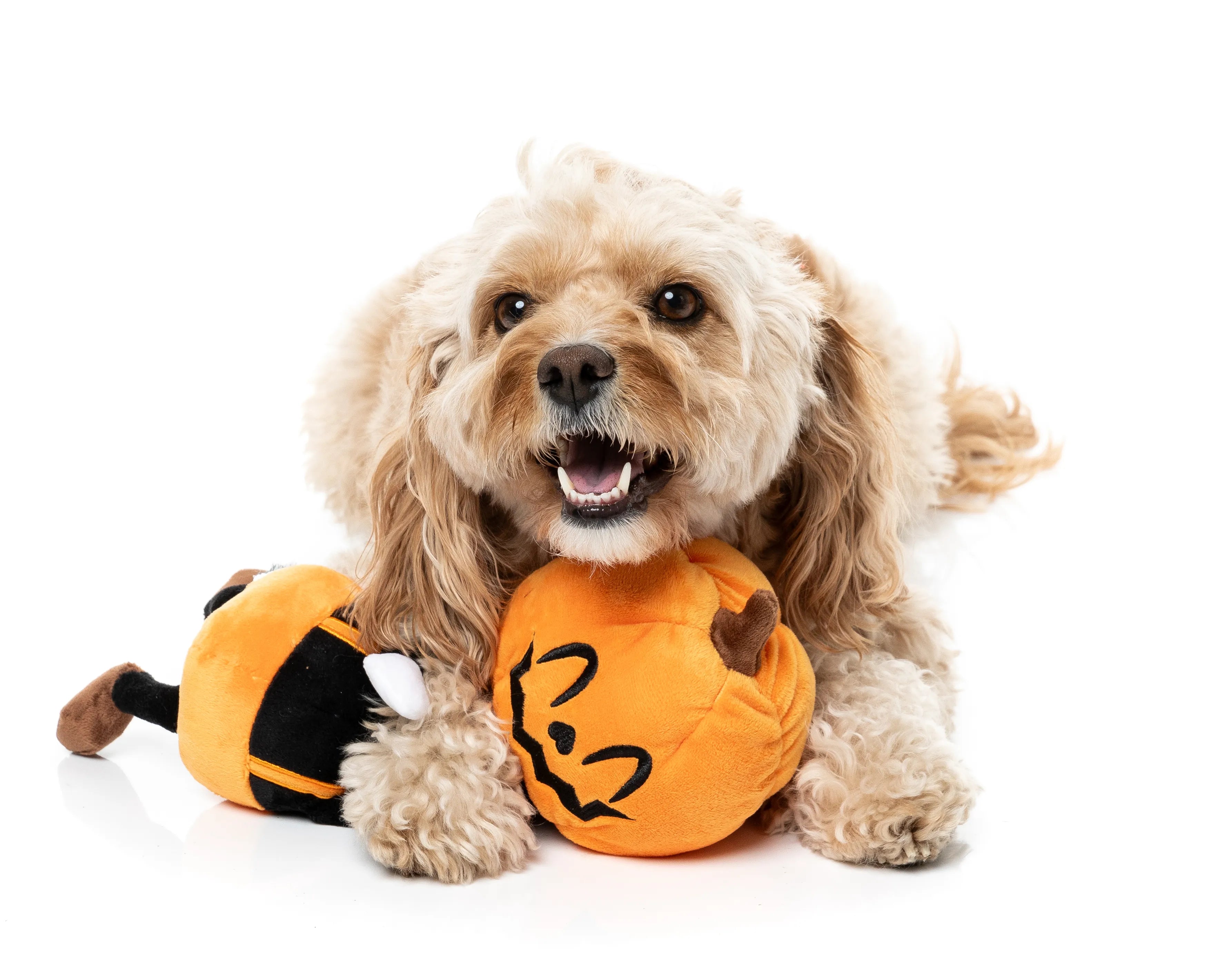 FuzzYard Halloween Michael Gourdan Plush Dog Toy