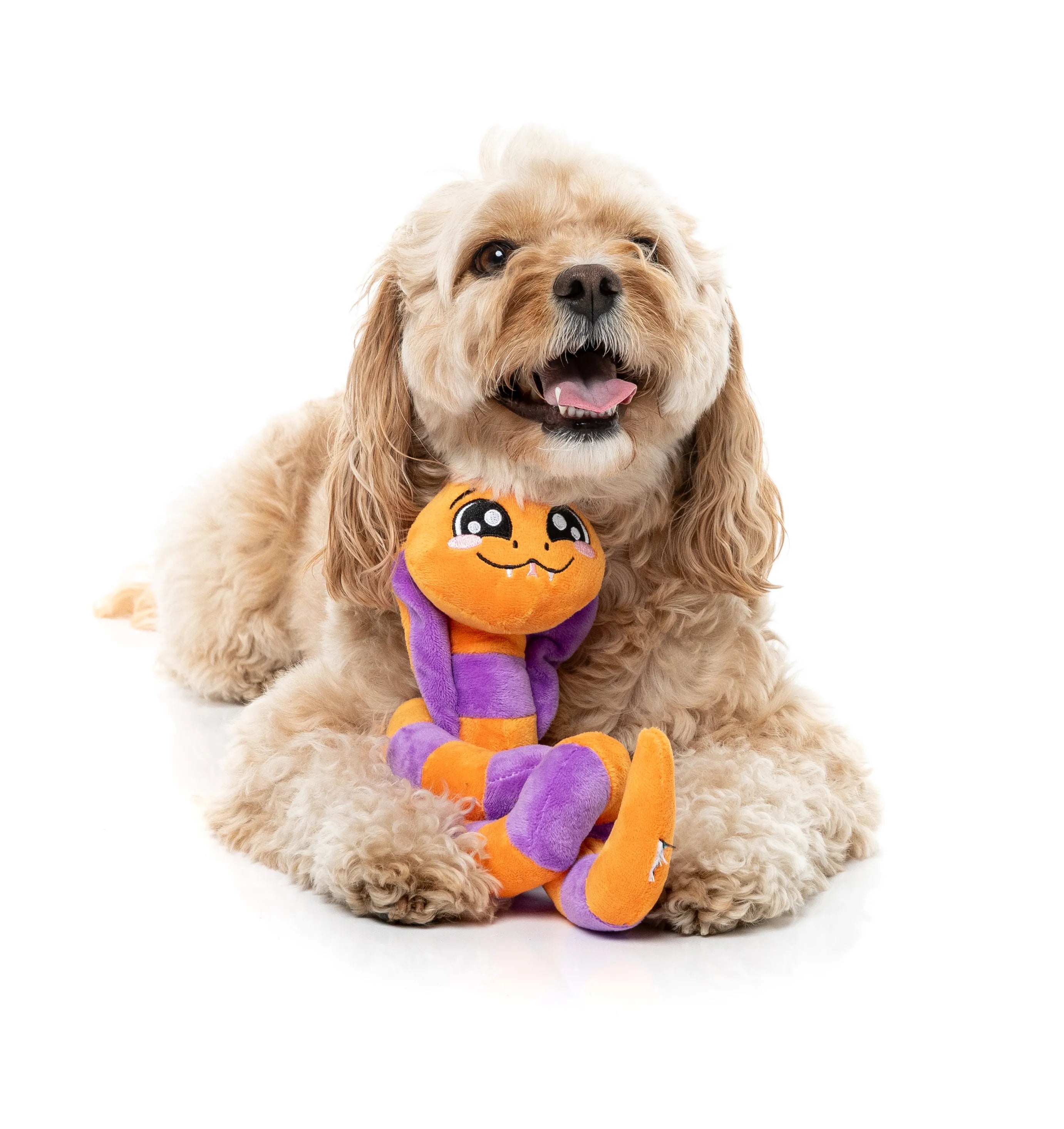 FuzzYard Halloween Sss-Teven The Snake Plush Dog Toy