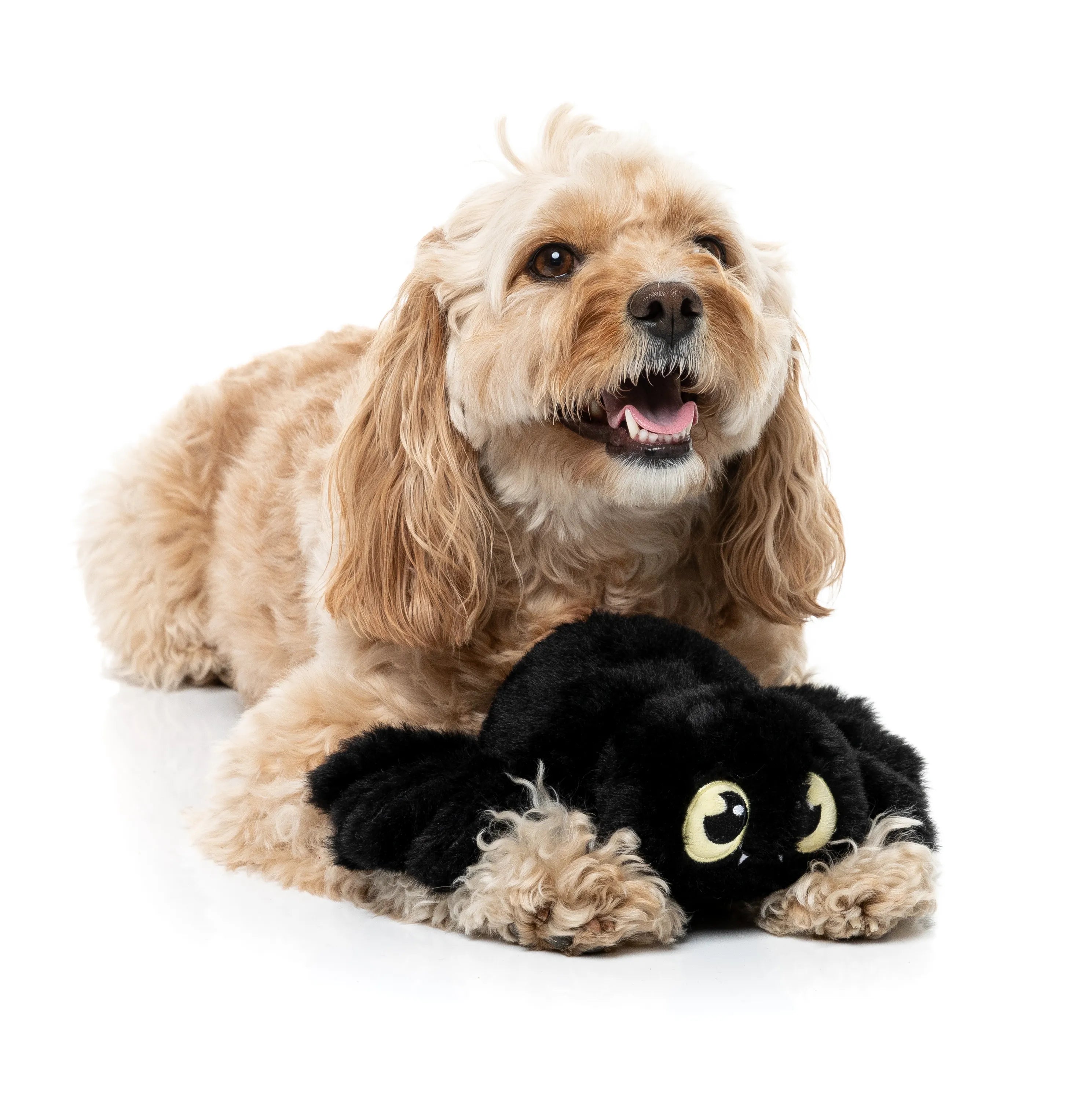 FuzzYard Halloween Webastian The Redback Plush Dog Toy