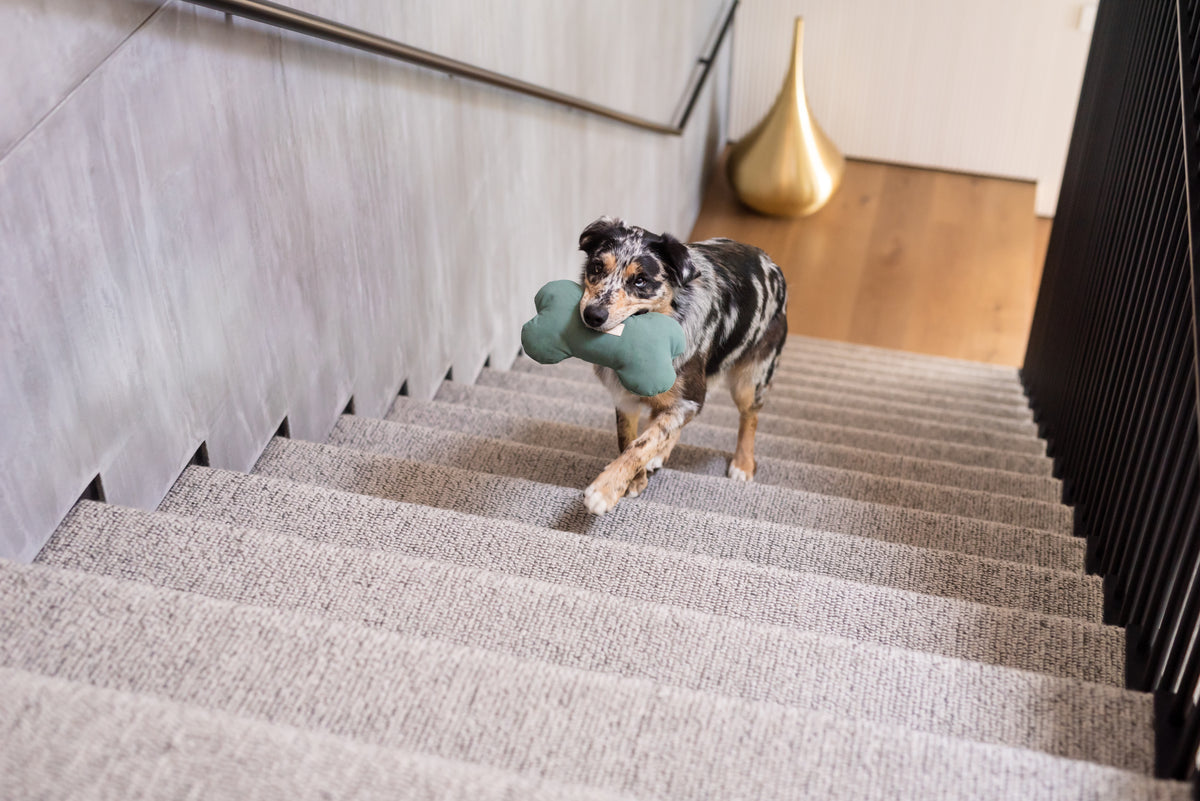 FuzzYard Life Toy Bone - Slate Grey L