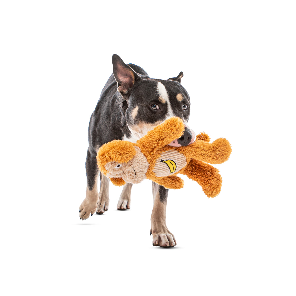 GURU Pet Company Soft Scents Monkey Plush Dog Toy Medium