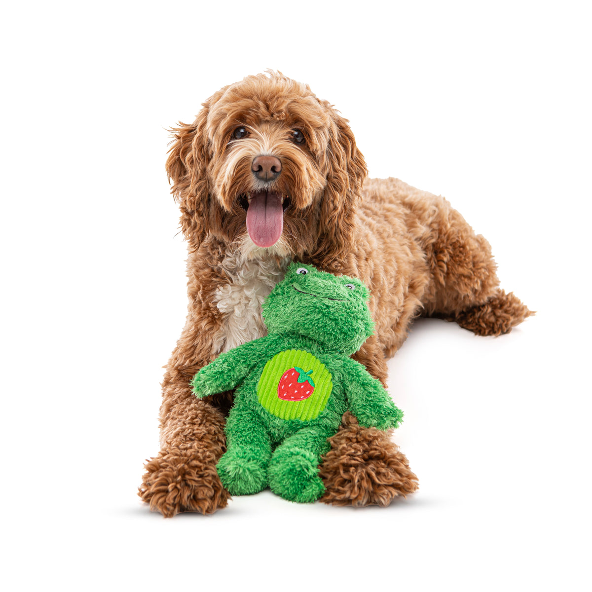 GURU Pet Company Soft Scents Frog Plush Dog Toy Medium