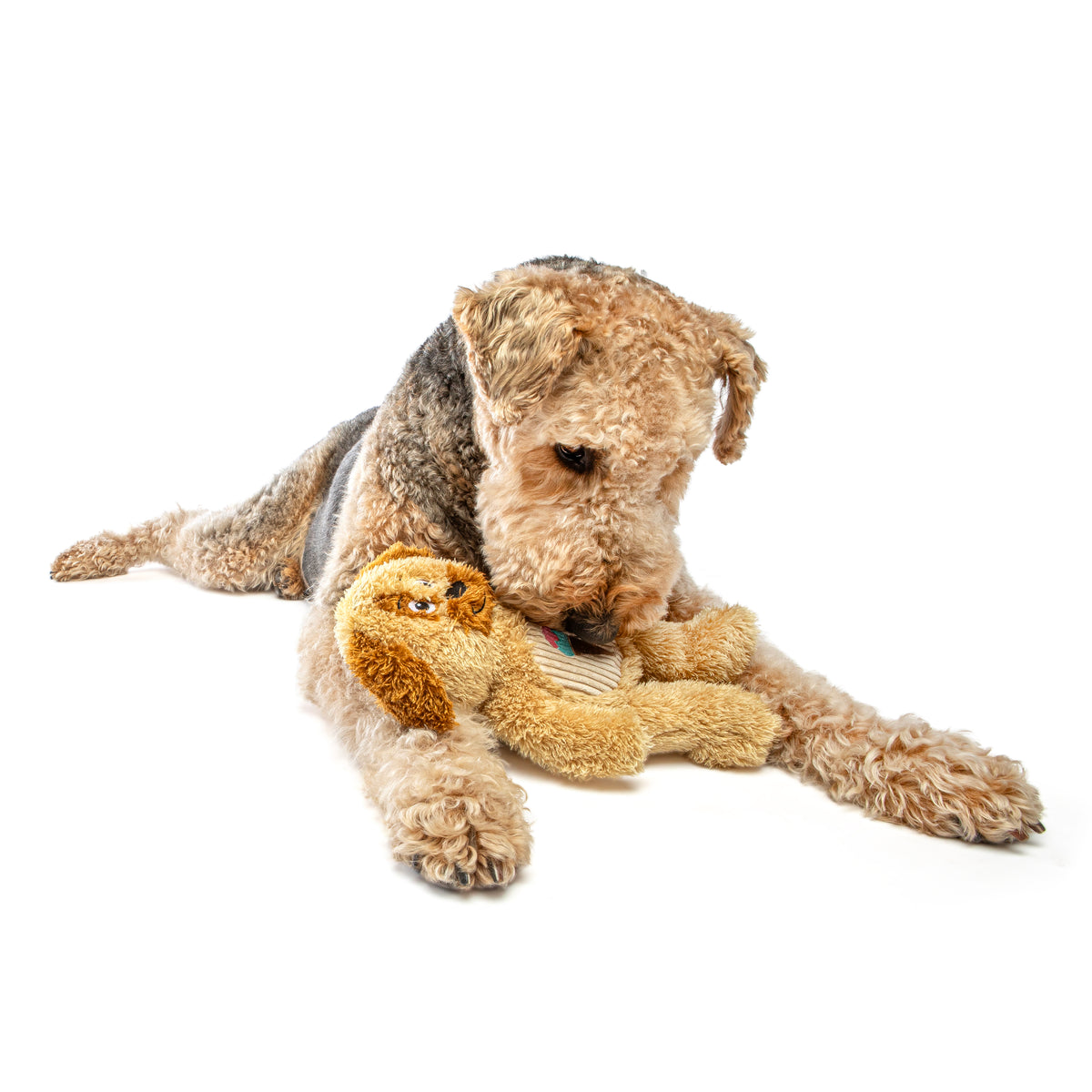 GURU Pet Company Soft Scents Dog Plush Dog Toy Medium
