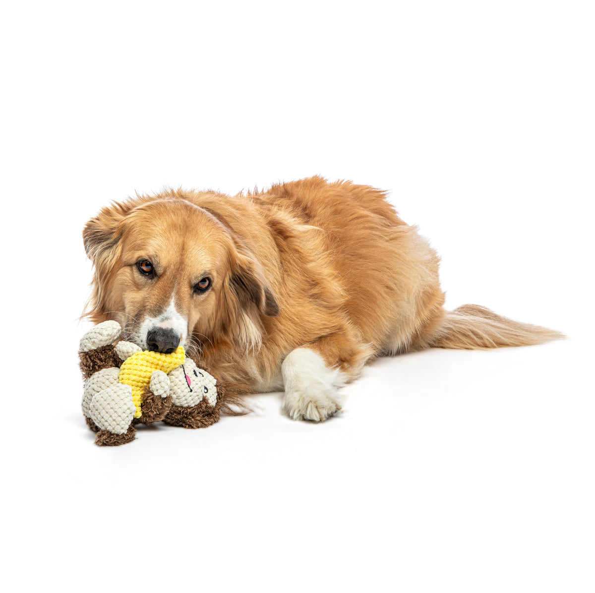 GURU Pet Company Loveys Monkey Plush Dog Toy Medium