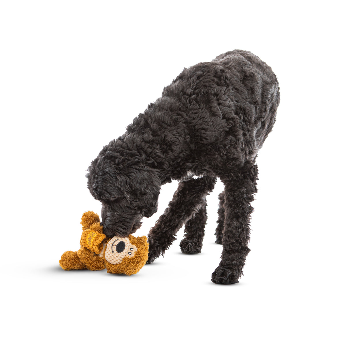 GURU Pet Company Loveys Bear Plush Dog Toy Medium