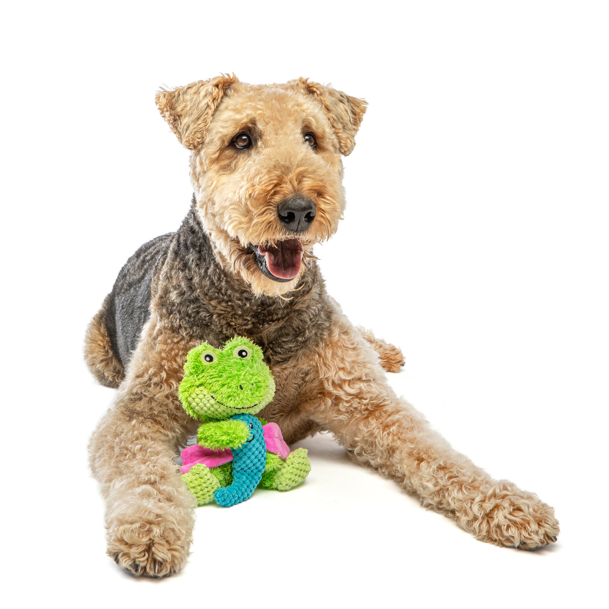 GURU Pet Company Loveys Frog Plush Dog Toy Medium
