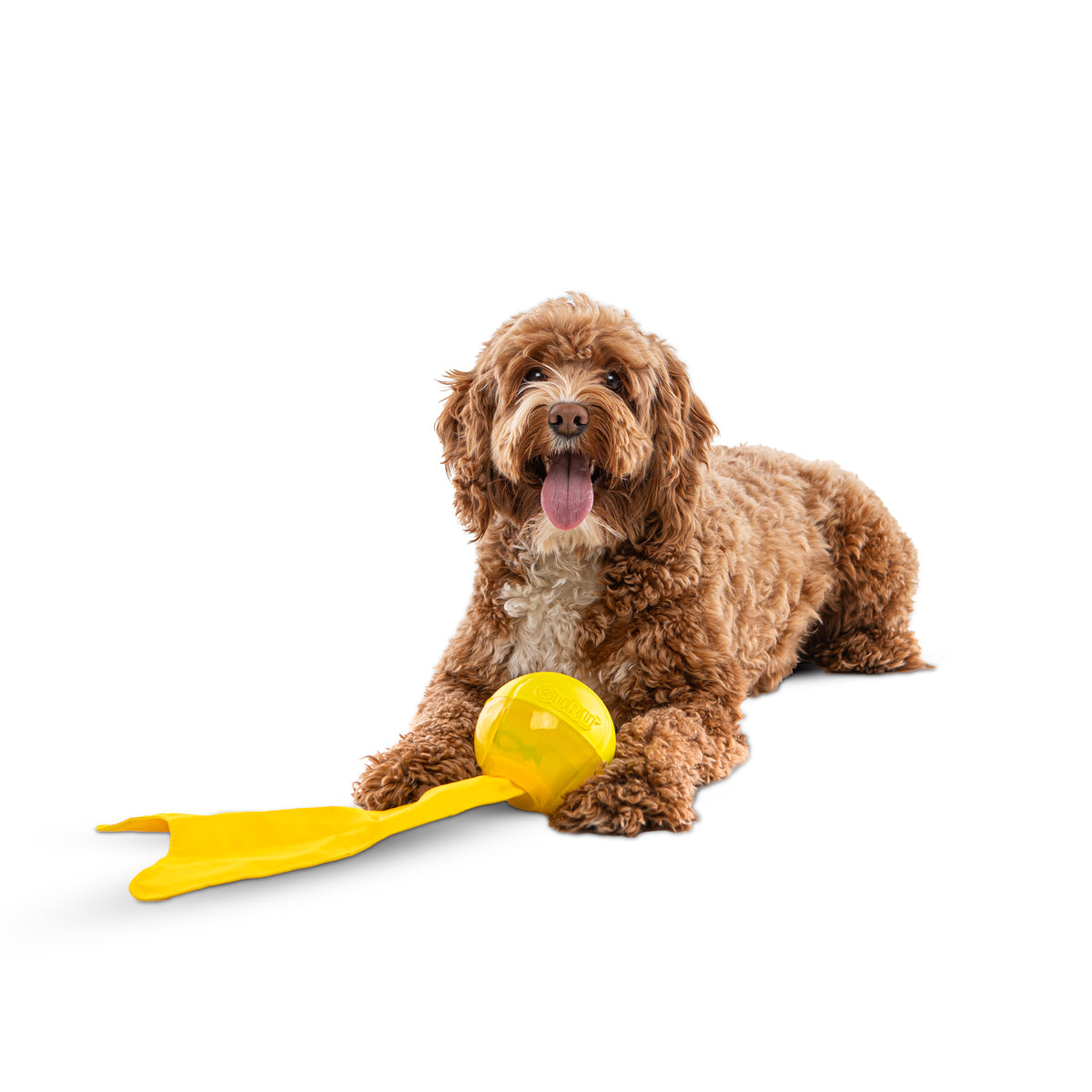 GURU Pet Company Bonanza Ball Dog Chew Toy Medium